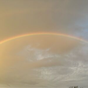 Meet your Posher, Channelle